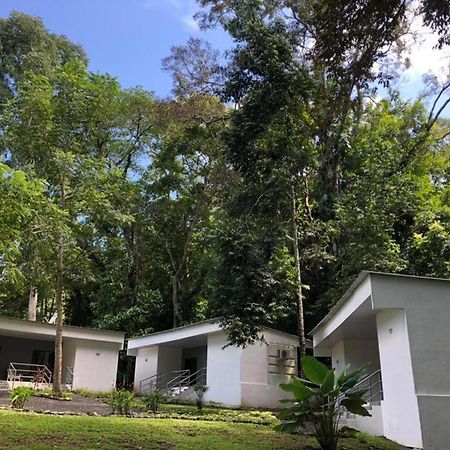 Carara Adventure Park Acomodação com café da manhã Quebrada Ganado Exterior foto